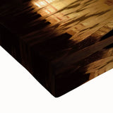 Large art of a black and white landscape painting on canvas, depicting a serene Pakistani scenery.