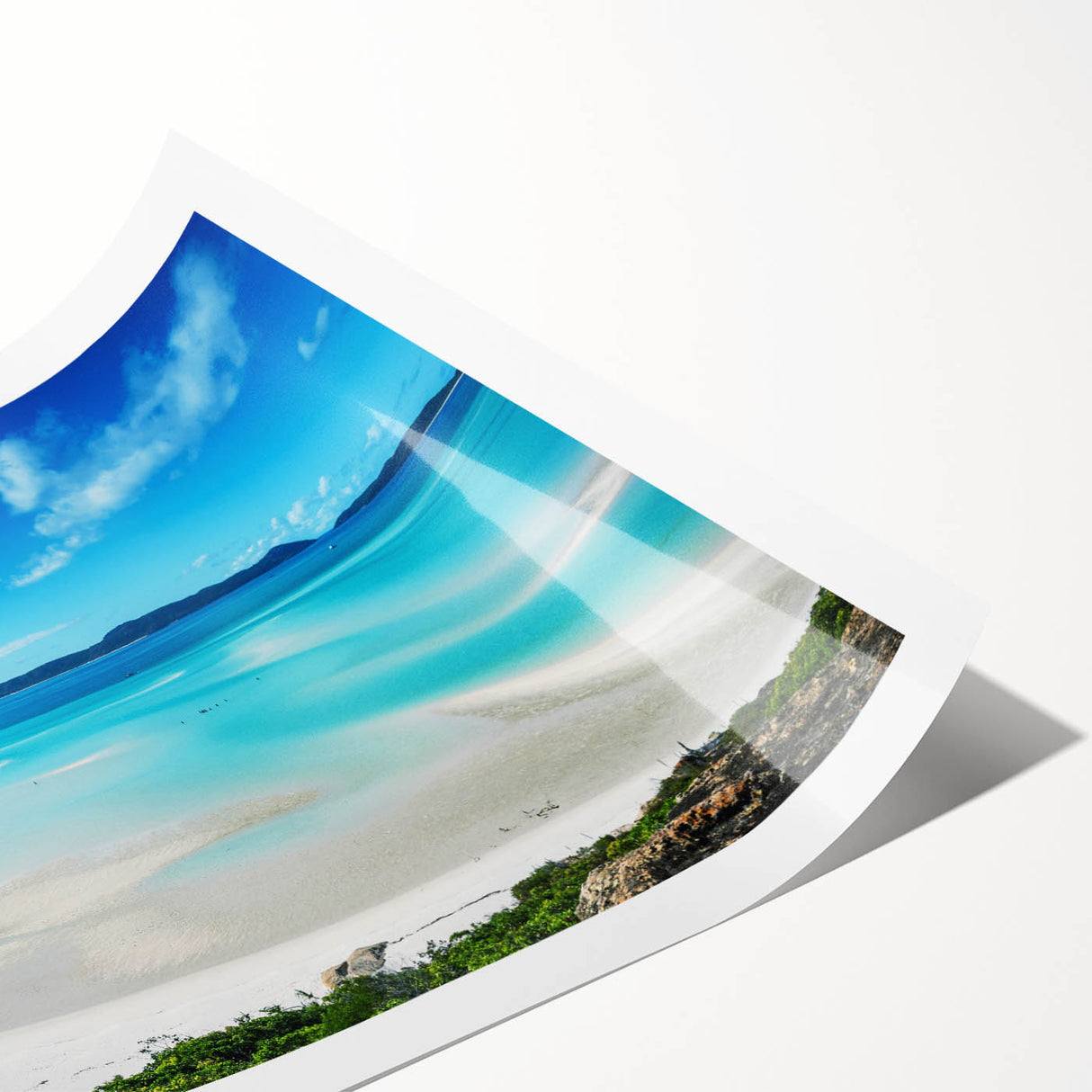 Extra large wall art featuring a line art depiction of the Great Barrier Reef in monochrome.