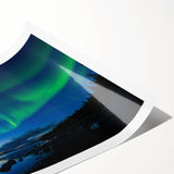 Extra large wall art featuring line art flowers in muted earth tones on a rolled print, suitable for large living room decor.