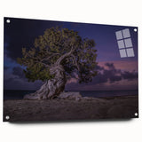 Acrylic print of a Caribbean Aruba landscape with vivid blue and green tones, ideal for bedroom or dining room decor.