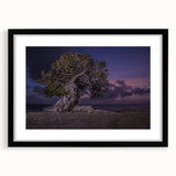 Extra large abstract art print depicting a vibrant Caribbean scene on a textured canvas, framed in black.