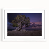 Textured abstract art print depicting a serene Caribbean scene in muted blue and white tones, framed with a white mat.