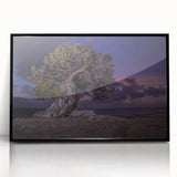 Large abstract wall art depicting a Caribbean beach scene in muted blue and sandy tones, framed in black acrylic.