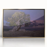 Art deco style poster of Aruba scenery with vivid blue and green hues on gold-framed acrylic.