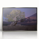 Large art print of a Caribbean beach scene in muted blues and greens on a silver-framed acrylic.