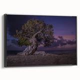 Black and white framed canvas of a Caribbean landscape, ideal for bedroom wall decor.
