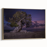Framed canvas depicting a vintage-style Caribbean landscape, featuring muted gold and black tones.