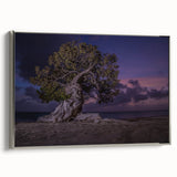 Framed canvas featuring a vintage-style landscape painting of a colorful Caribbean beach.