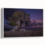 Vintage poster art of a Caribbean Aruba scenery on a framed canvas, featuring vibrant color palette.