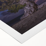 Art deco poster of a serene Caribbean beach scene in soft pastel colors on rolled canvas, suitable for dining room decor.