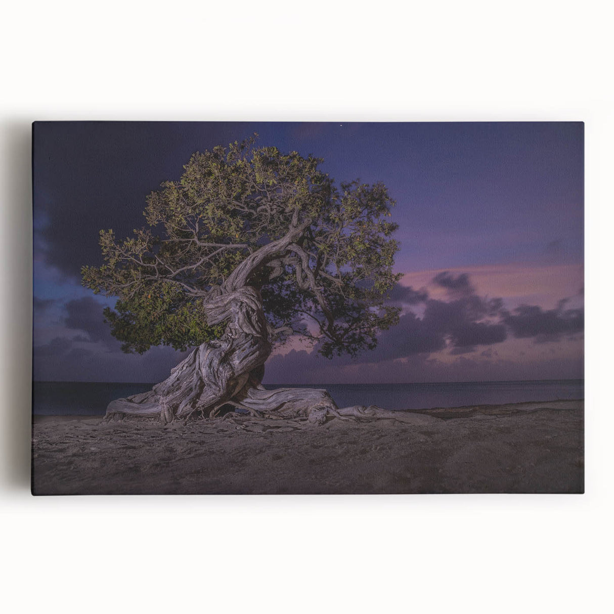 Black and white panoramic photograph of a Caribbean beach on stretched canvas, ideal for kitchen wall art.