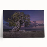Large black and white photo of Caribbean scenery on stretched canvas, ideal for kitchen wall art.