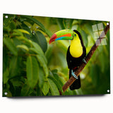 Acrylic print of a Belize scenery in vibrant green and blue hues, ideal for dining room decor.