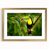 Extra large abstract art print featuring vibrant, colorful scenery of Central America, framed in gold.