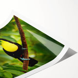 Extra large wall art featuring line art flowers in muted earth tones on a rolled canvas.