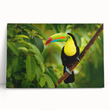 Black and white photograph of Belize scenery on stretched canvas, suitable for kitchen wall art or bedroom decor.