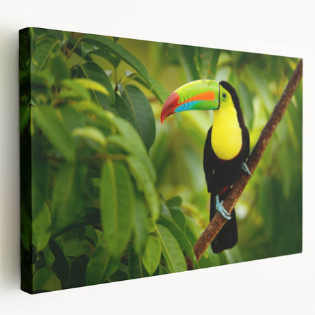 Large stretched canvas depicting a vibrant Belize landscape, ideal for kitchen wall art.