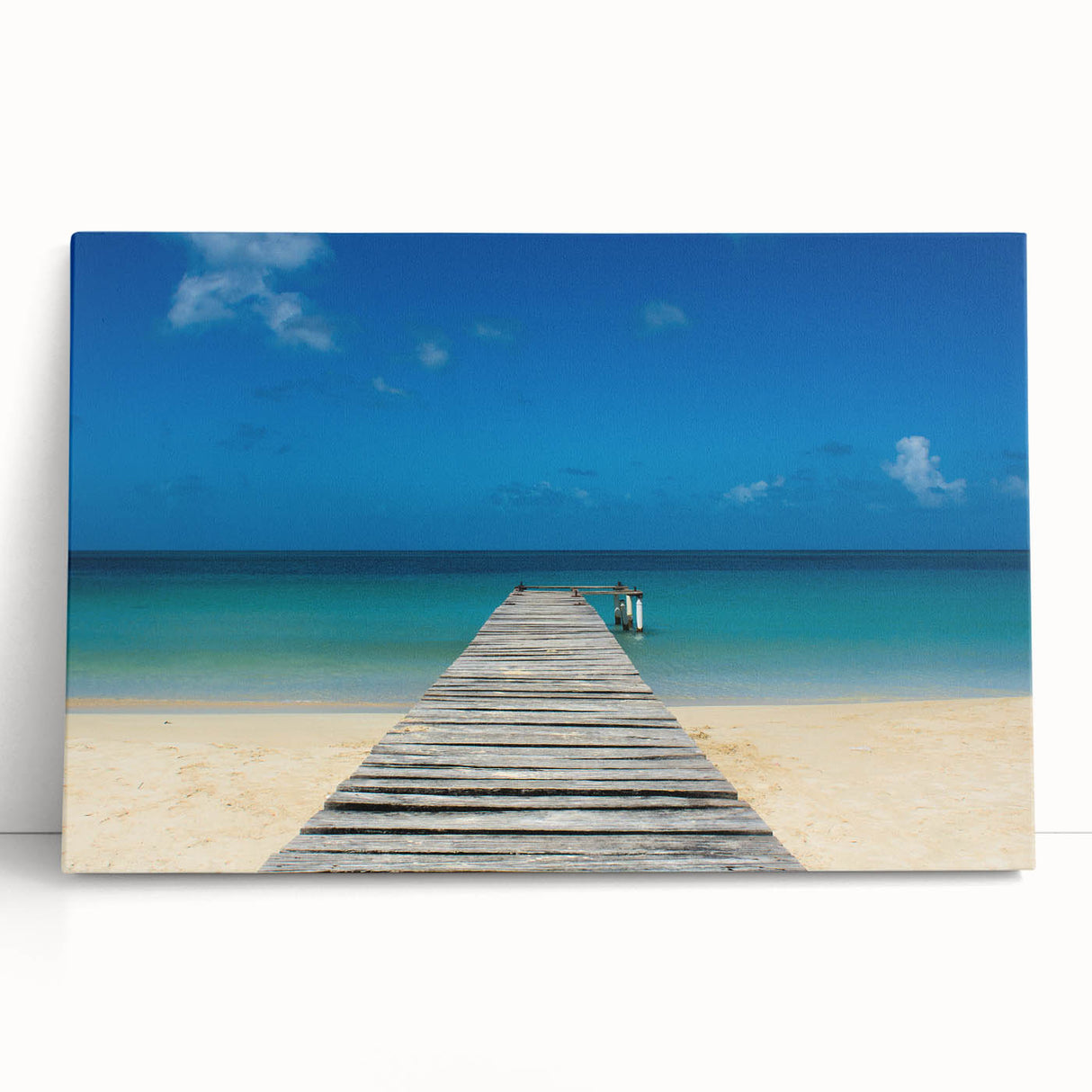 Black and white photograph of Central America's landscape on stretched canvas.