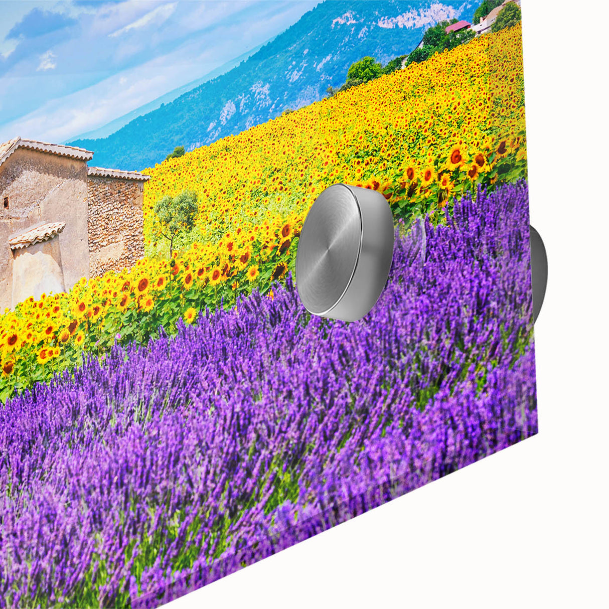 Large abstract wall art featuring the Provence scenery in muted earth tones on acrylic glass, ideal for dining room art.