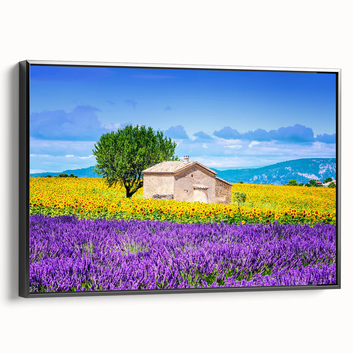 Black and white landscape art painting of Provence on framed canvas, ideal for bedroom wall decor.