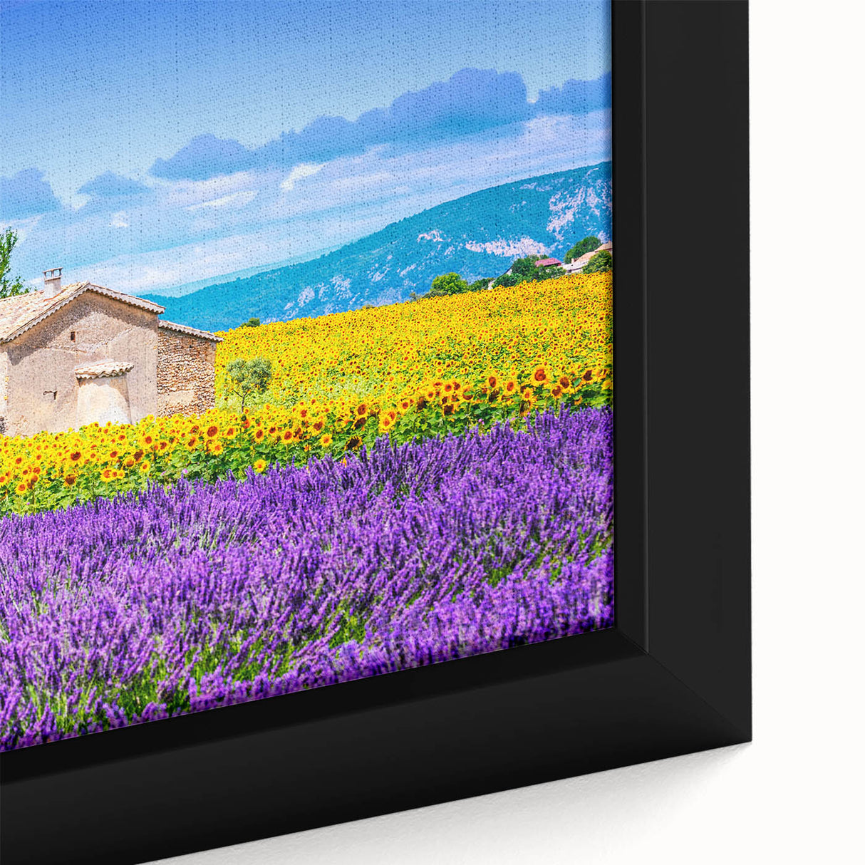 Extra large framed canvas of a textured Provence scenery with vibrant colors on a black background.