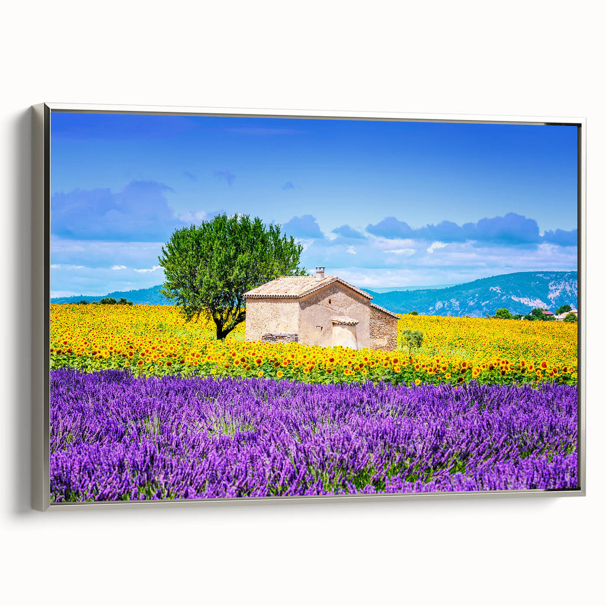 Landscape art painting of Provence with lavender fields under a sunset sky, in a silver-framed canvas.
