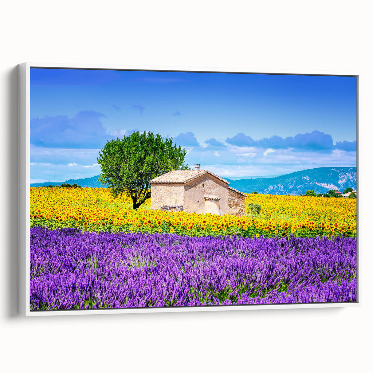 Vintage poster art of a Provence landscape on framed canvas, featuring colorful art in pastel shades.