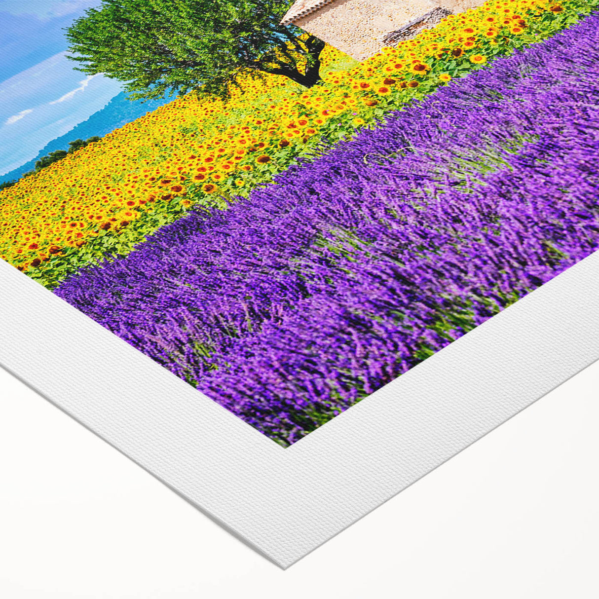 Art deco poster featuring a serene Provence landscape in muted earth tones on rolled canvas, suitable for dining room decor.