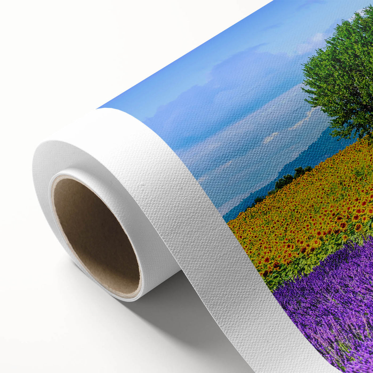 Art Deco poster of Provence landscape with lavender fields in muted purple and green tones, rolled canvas.