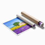 Rolled print of a Provence scenery with vibrant floral details in pastel shades, suitable for classy bathroom wall art.