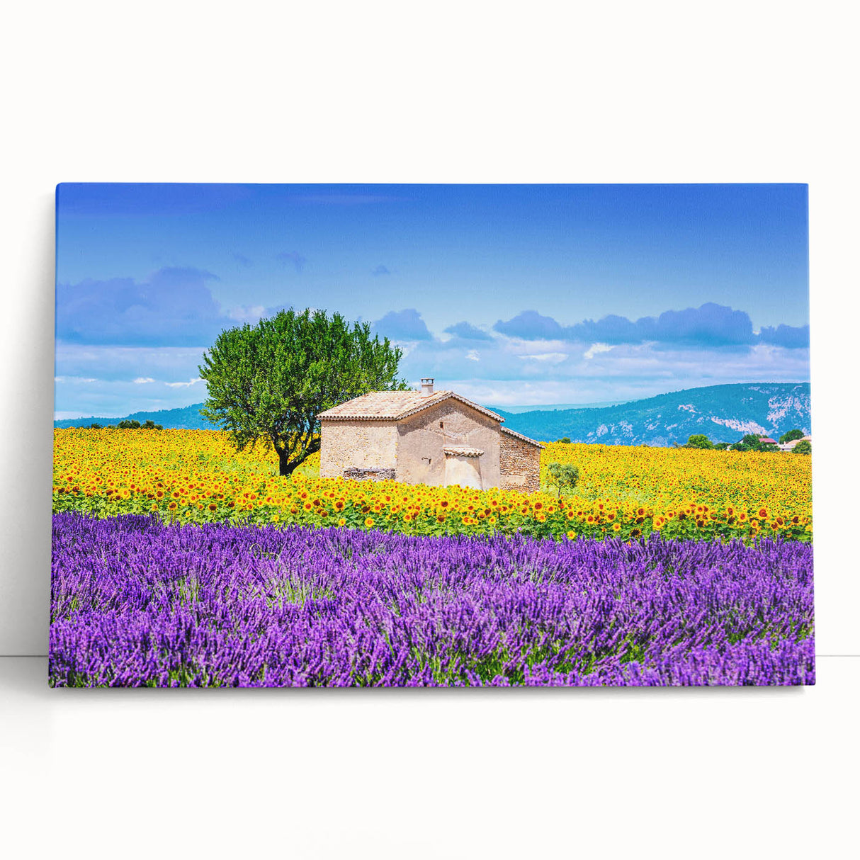 Large black and white wall art of Provence scenery on stretched canvas, ideal for kitchen art.
