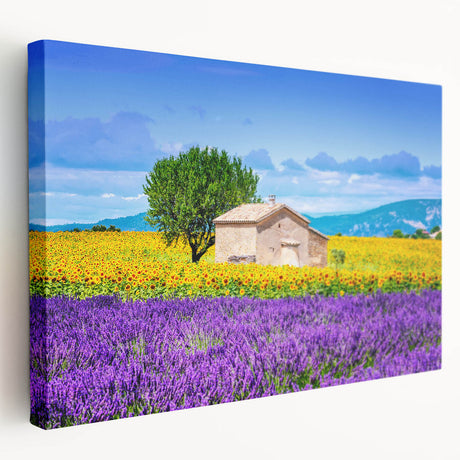 Large stretched canvas of a Provence landscape in soft pastel colors, ideal for kitchen wall art.