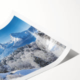 Extra large wall art depicting line art flowers in muted earth tones on a rolled canvas.