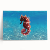 Black and white stretched canvas of the Mediterranean Sea, ideal for kitchen wall art.