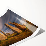 Extra large wall art featuring line art flowers in soft pastel shades on a rolled print.