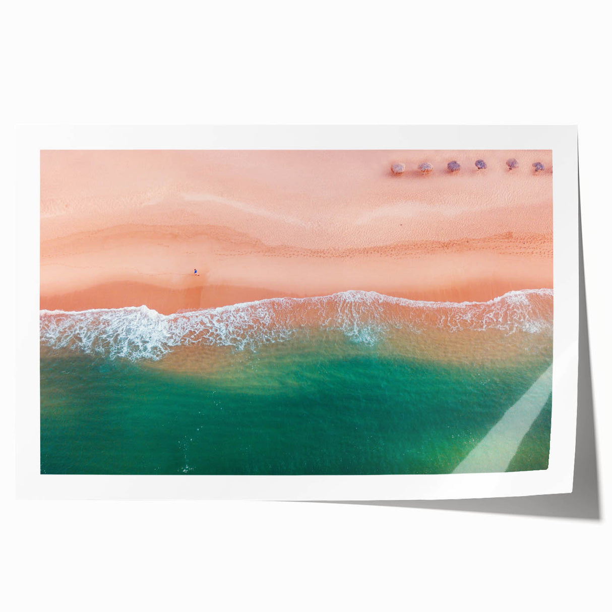 Extra large rolled print of Acapulco scenery with vibrant floral elements, ideal for dining room wall art.