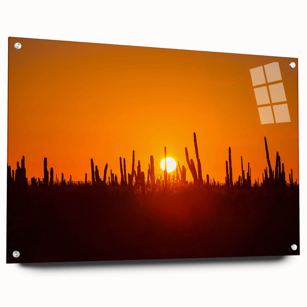 Abstract art print of Baja California scenery in muted earth tones on acrylic glass.