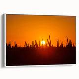 Vintage poster art of Baja California scenery in vibrant colors on a large framed canvas, ideal for living room decor.