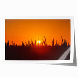 Rolled print of Baja California scenery featuring muted earth tones and floral elements.