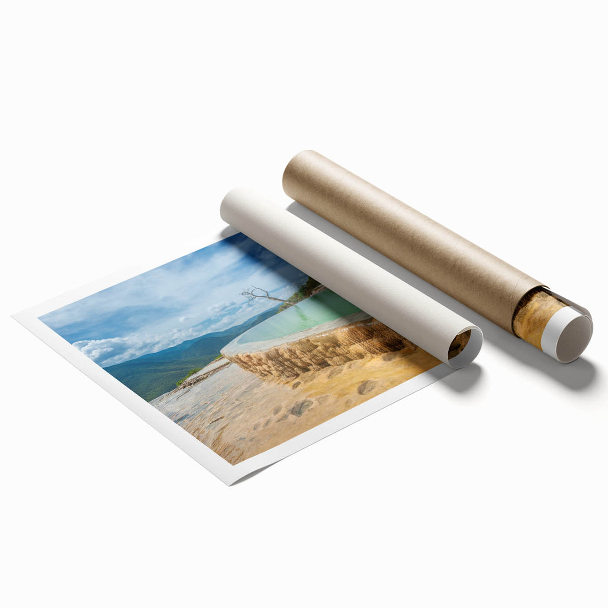 Extra large rolled print of Oaxaca scenery, featuring vibrant floral art.