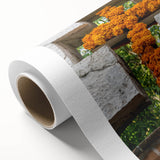 Art deco poster of Quintana Roo scenery in pastel shades on rolled canvas, ideal for nursery wall art.