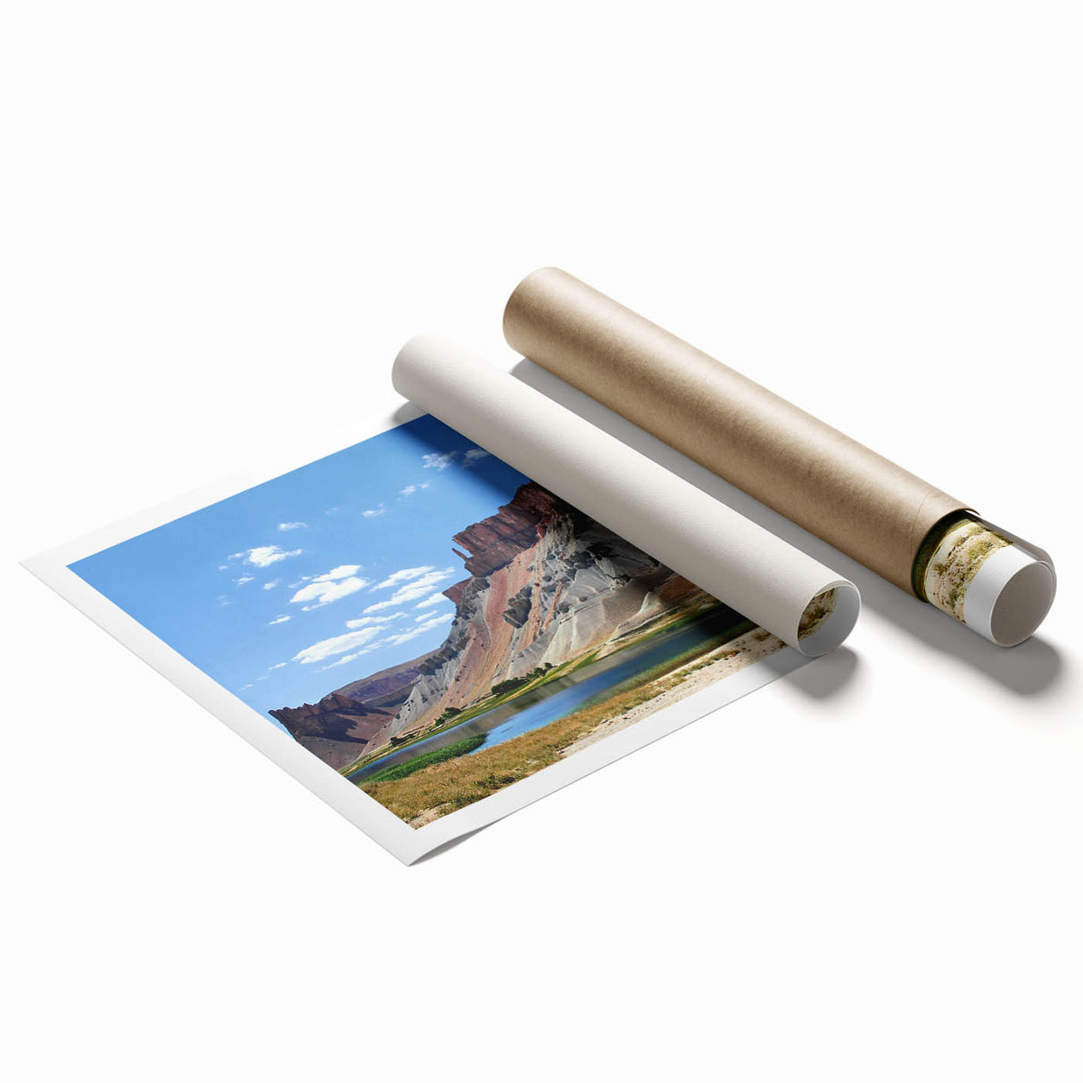 Extra large rolled print featuring a detailed floral art design in soft pastel shades, ideal for classy bathroom wall art.