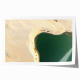 Extra large rolled print of a Saudi Arabian landscape, featuring muted earth tones and floral elements.