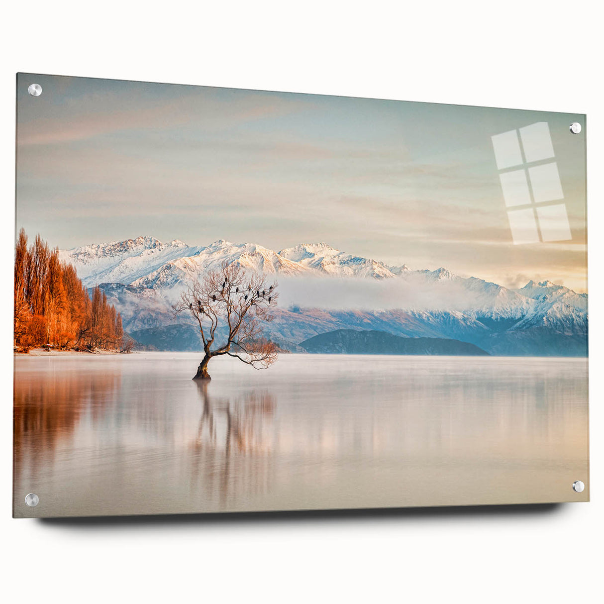 Acrylic print of a large abstract depiction of Otago, New Zealand, in muted earth tones.