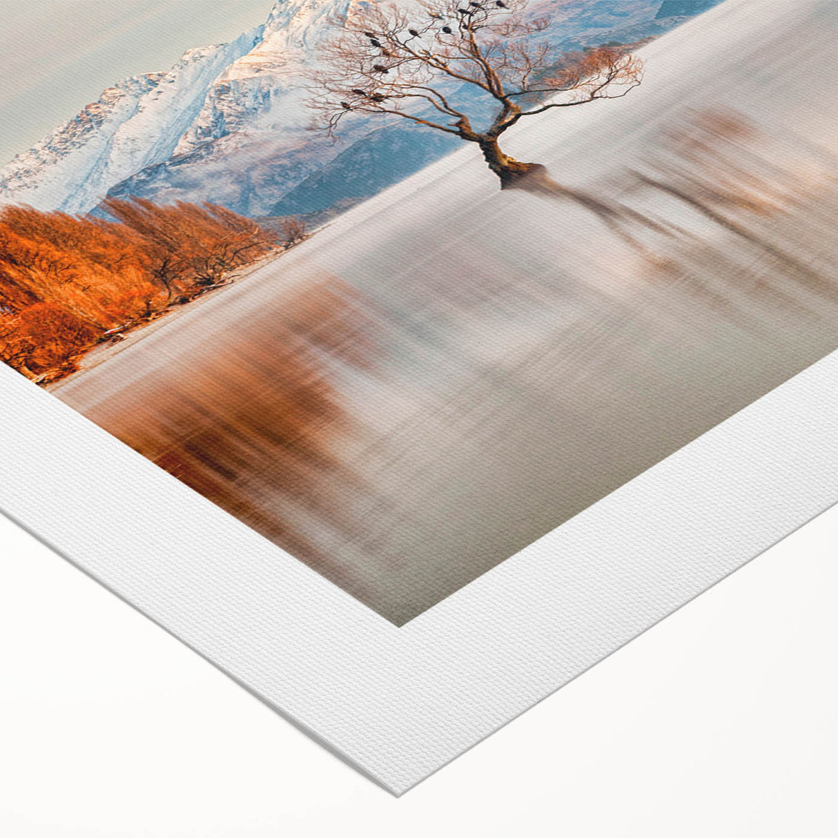 Art deco poster of Otago, New Zealand scenery in muted earth tones on rolled canvas, suitable for dining room wall art.
