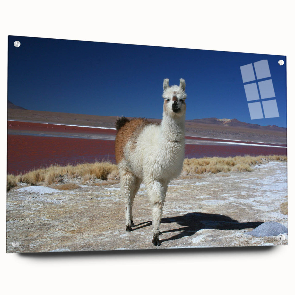 Acrylic print of a Bolivian landscape in muted earth tones, suitable for bedroom or dining room decor.