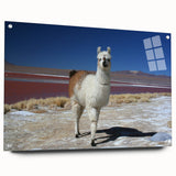 Acrylic print of a Bolivian landscape in muted earth tones, suitable for bedroom or dining room decor.