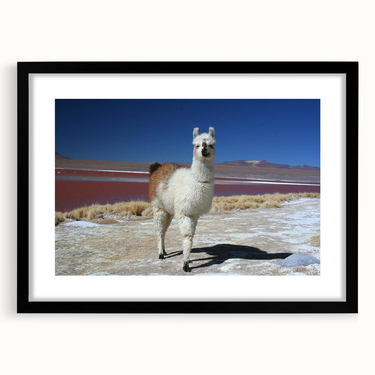 Extra large abstract art print of a colorful Bolivian landscape on textured canvas, framed in black.