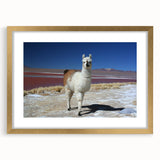 Extra large abstract art print of a Bolivian landscape, textured with gold frame, ideal for living room decor.