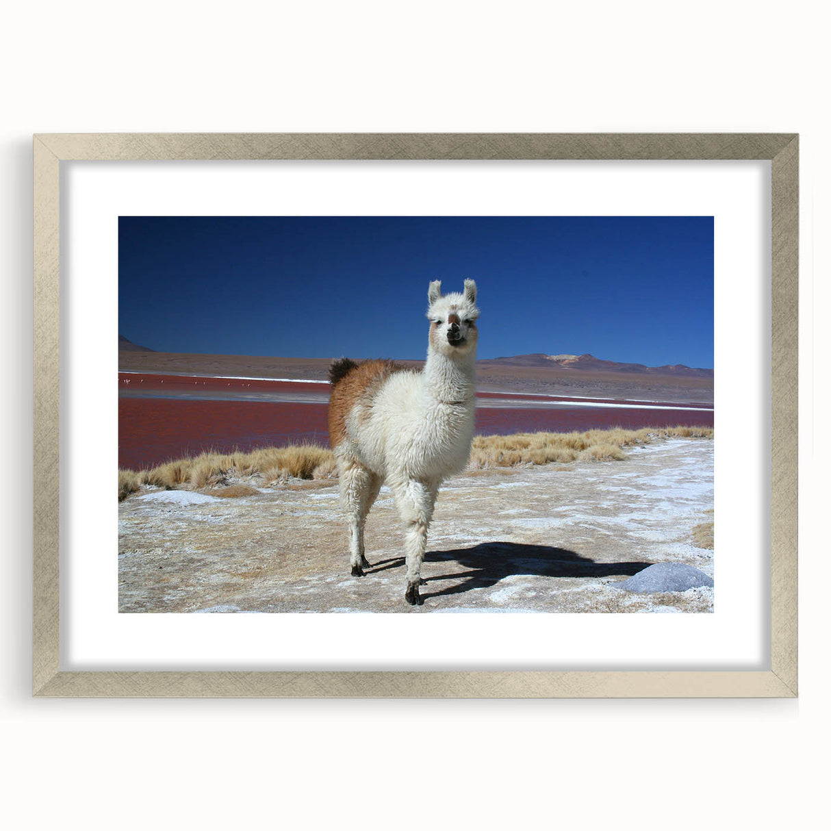 Textured abstract art print of a Bolivian landscape in muted earth tones, framed in silver, ideal for bedroom decor.